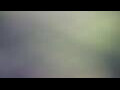 Webcam Tallinn