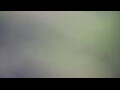 Webcam Tallinn