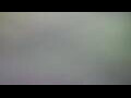 Webcam Tallinn