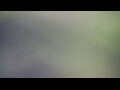 Webcam Tallinn