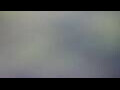Webcam Tallinn