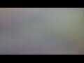 Webcam Tallinn