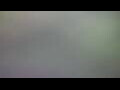 Webcam Tallinn