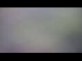 Webcam Tallinn