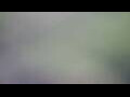 Webcam Tallinn