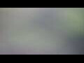 Webcam Tallinn