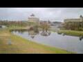 Webcam Narva