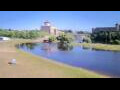 Webcam Narva