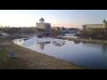 Webcam Narva