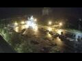 Webcam Narva