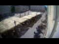 Webcam Tartu