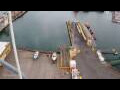 Webcam Akranes