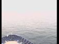 Webcam Mein Schiff 2