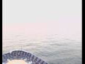 Webcam Mein Schiff 2