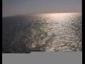 Webcam Mein Schiff 2