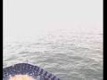 Webcam Mein Schiff 2