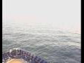 Webcam Mein Schiff 2