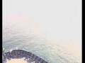 Webcam Mein Schiff 2