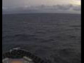 Webcam Mein Schiff 2