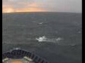 Webcam Mein Schiff 2