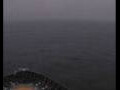 Webcam Mein Schiff 2
