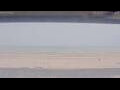 Webcam Henne Strand