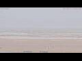 Webcam Henne Strand