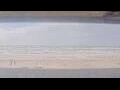 Webcam Henne Strand