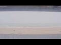 Webcam Henne Strand
