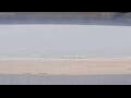 Webcam Henne Strand