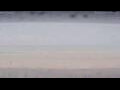 Webcam Henne Strand