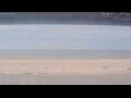 Webcam Henne Strand
