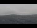 Webcam HANSEATIC nature