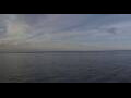 Webcam HANSEATIC nature