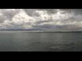 Webcam HANSEATIC nature