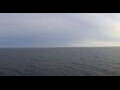 Webcam HANSEATIC nature