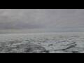 Webcam HANSEATIC nature