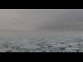 Webcam HANSEATIC nature