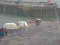 Webcam Lyme Regis