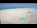 Webcam Santa Maria