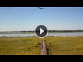 Webcam Lower Zambezi National Park