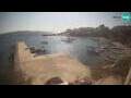 Webcam Zavala (Hvar)