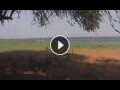 Webcam Lower Zambezi National Park: WildlifeCam