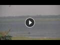 Webcam Lower Zambezi National Park
