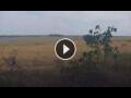 Webcam Lower Zambezi National Park