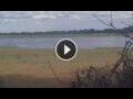 Webcam Lower Zambezi National Park