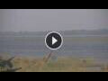Webcam Lower Zambezi National Park