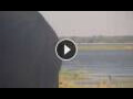 Webcam Lower Zambezi National Park