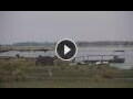 Webcam Lower Zambezi National Park
