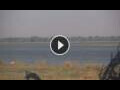 Webcam Lower Zambezi National Park